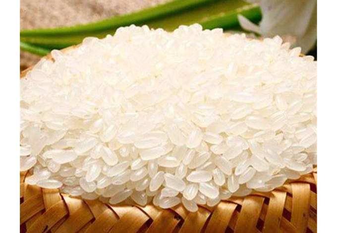 農(nóng)副產(chǎn)品糧食配送