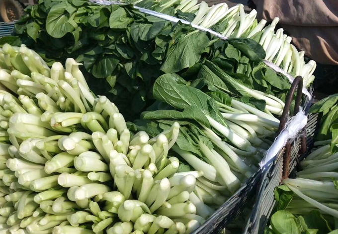 新鮮蔬菜小白菜配送